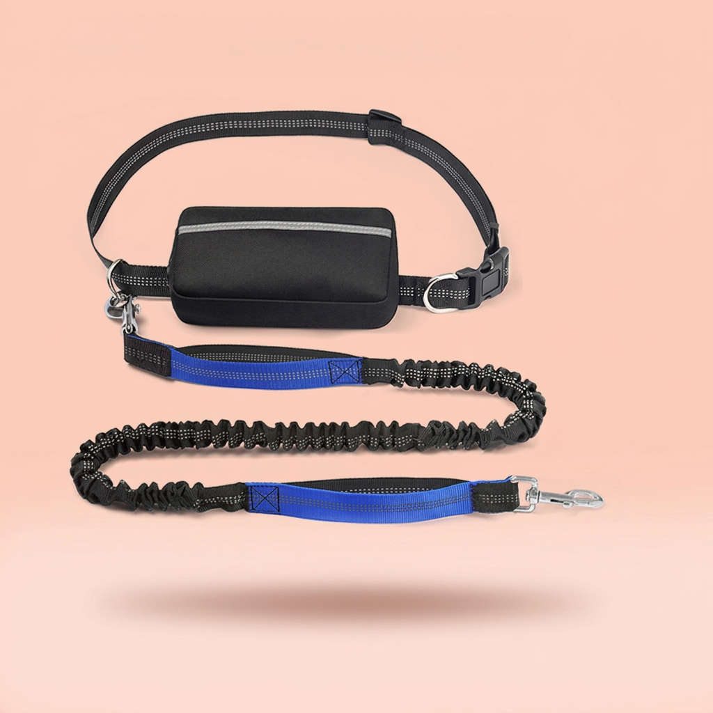 Pet running waist bag with leash